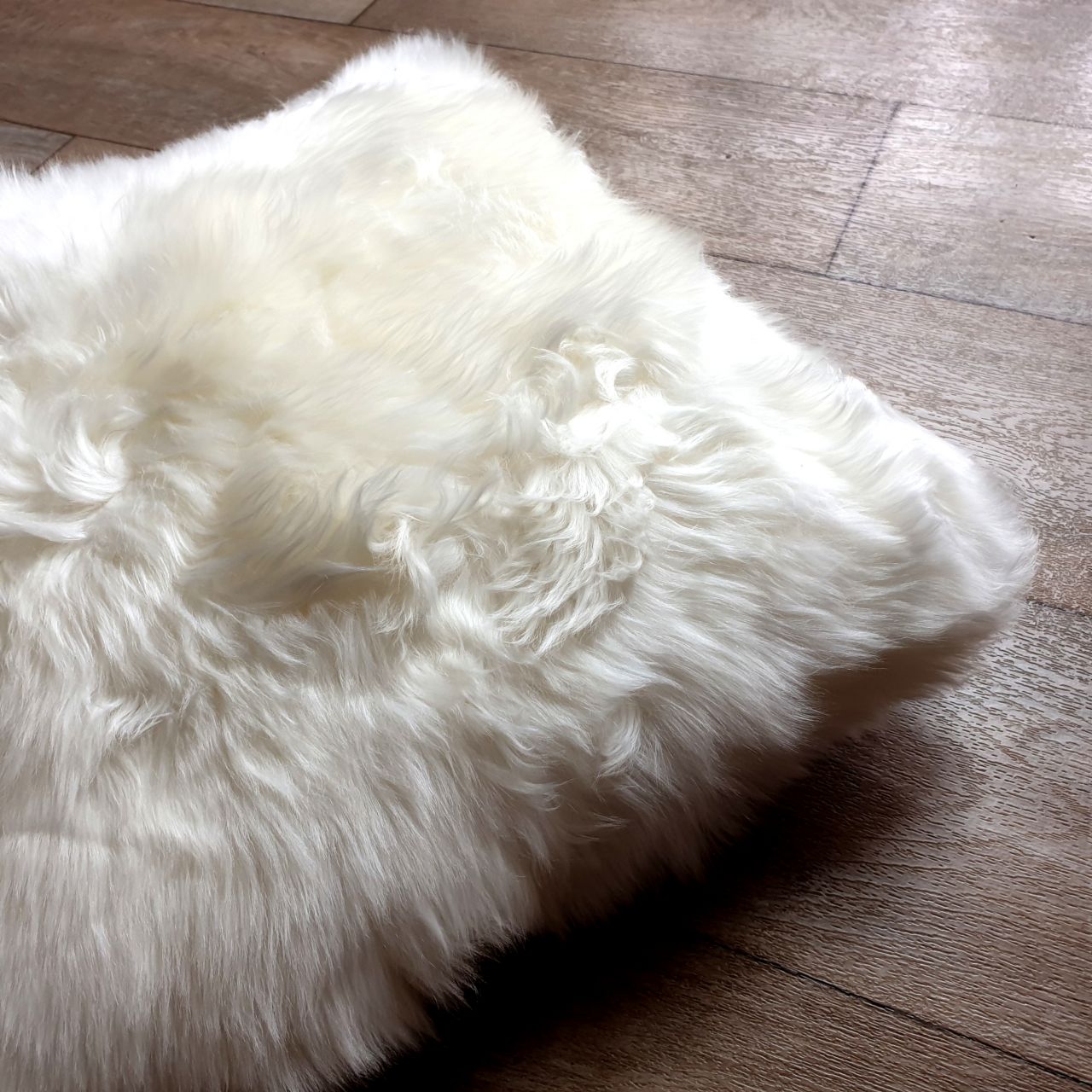 Fluffy Wool Sheepskin Cushion in Cream: Authentic Sheepskin UK: Jacobs ...