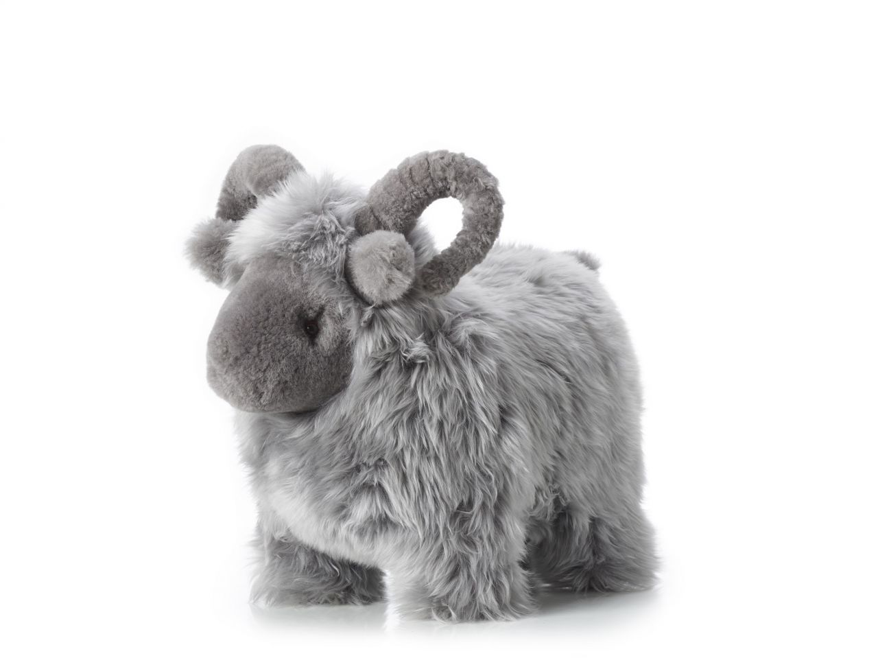 Lucky Sheep