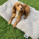 Image of Grey Curly Wool Sheepskin Pet Bed