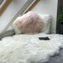 Image of Cream White Sheepskin Rug