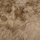 Image of Latte Sheepskin Rug