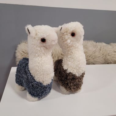 Alpaca