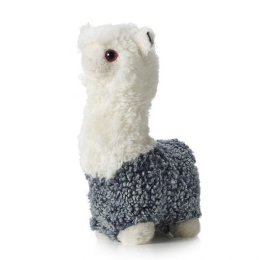 Alpaca